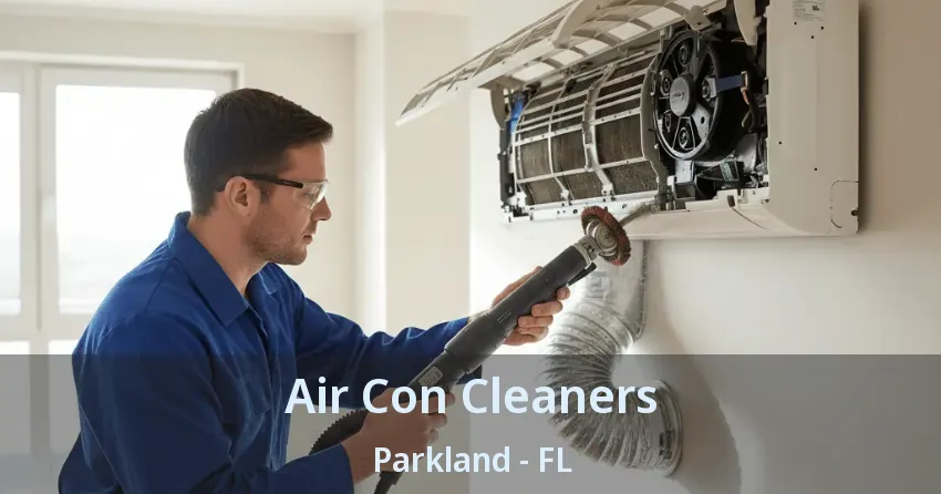 Air Con Cleaners Parkland - FL