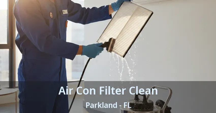 Air Con Filter Clean Parkland - FL