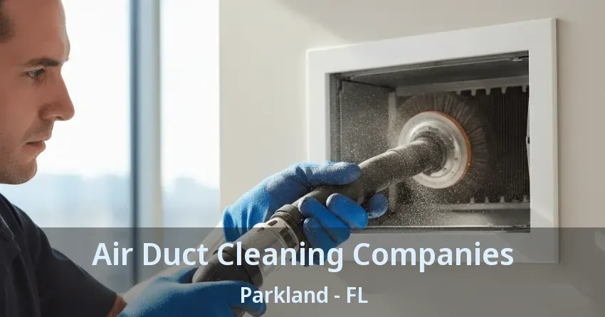 Air Duct Cleaning Companies Parkland - FL
