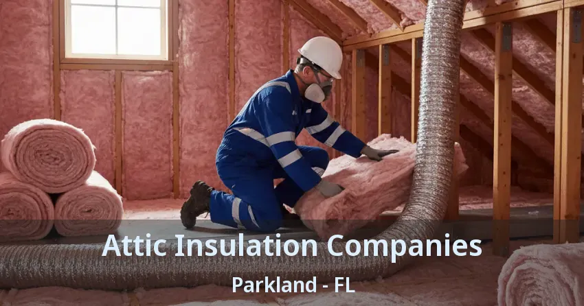 Attic Insulation Companies Parkland - FL