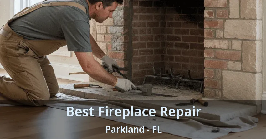 Best Fireplace Repair Parkland - FL