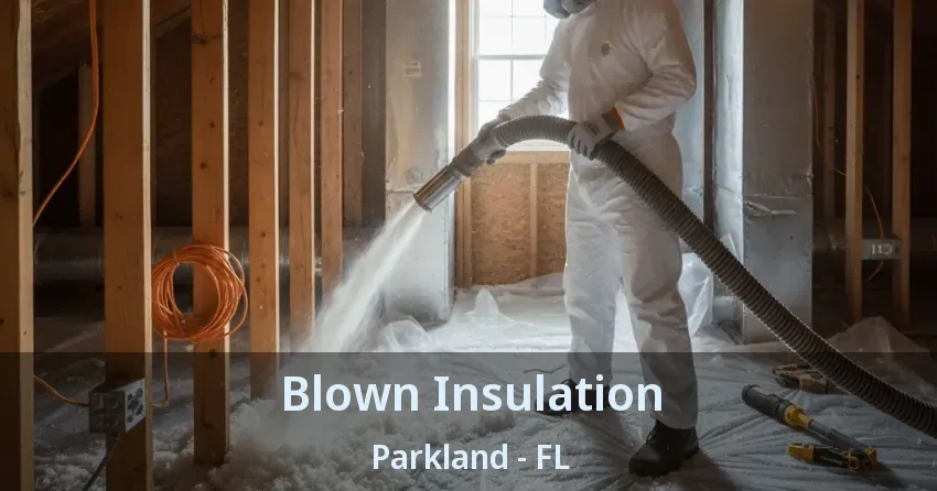 Blown Insulation Parkland - FL