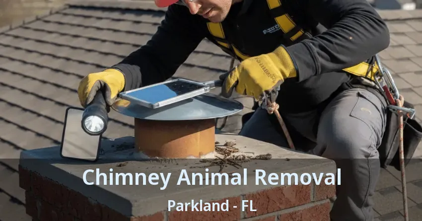 Chimney Animal Removal Parkland - FL