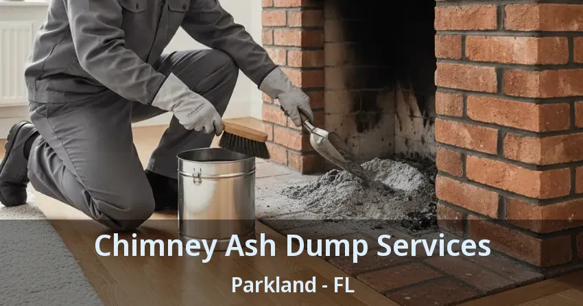 Chimney Ash Dump Services Parkland - FL
