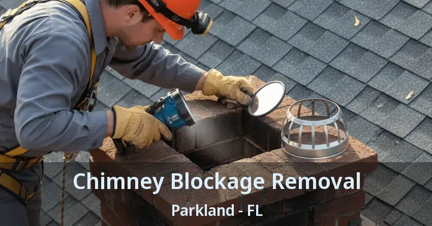 Chimney Blockage Removal Parkland - FL