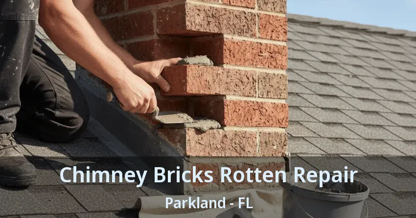 Chimney Bricks Rotten Repair Parkland - FL