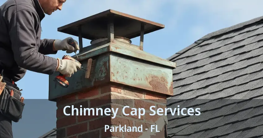 Chimney Cap Services Parkland - FL