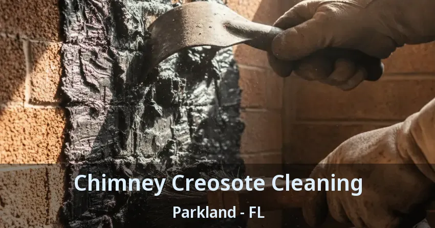 Chimney Creosote Cleaning Parkland - FL
