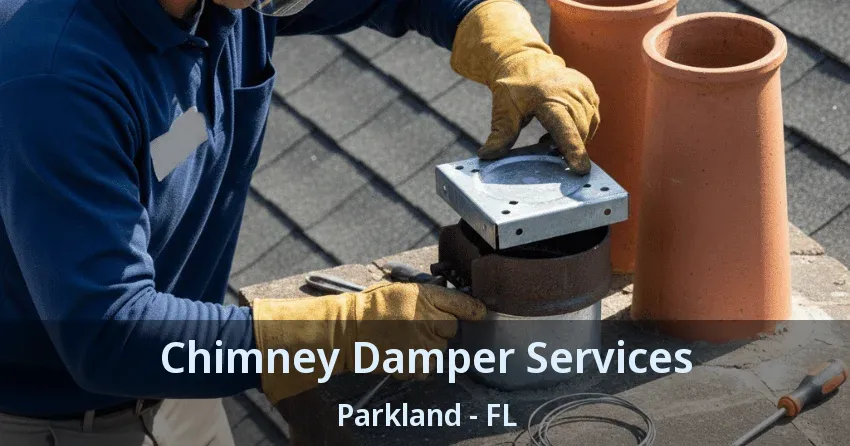 Chimney Damper Services Parkland - FL