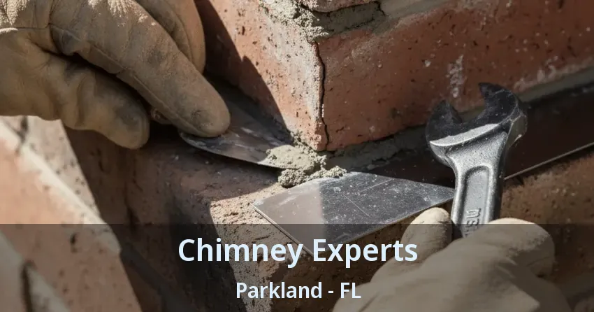 Chimney Experts Parkland - FL