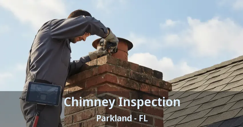 Chimney Inspection Parkland - FL Chimney Inspection Parkland - FL