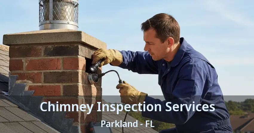 Chimney Inspection Services Parkland - FL