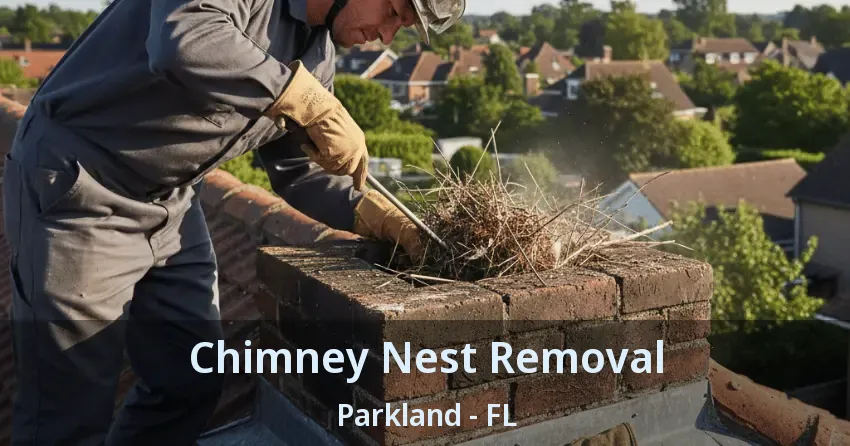 Chimney Nest Removal Parkland - FL