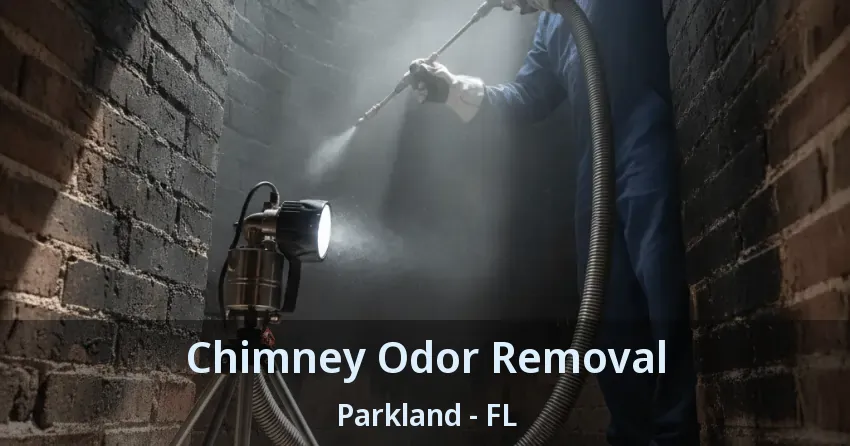 Chimney Odor Removal Parkland - FL