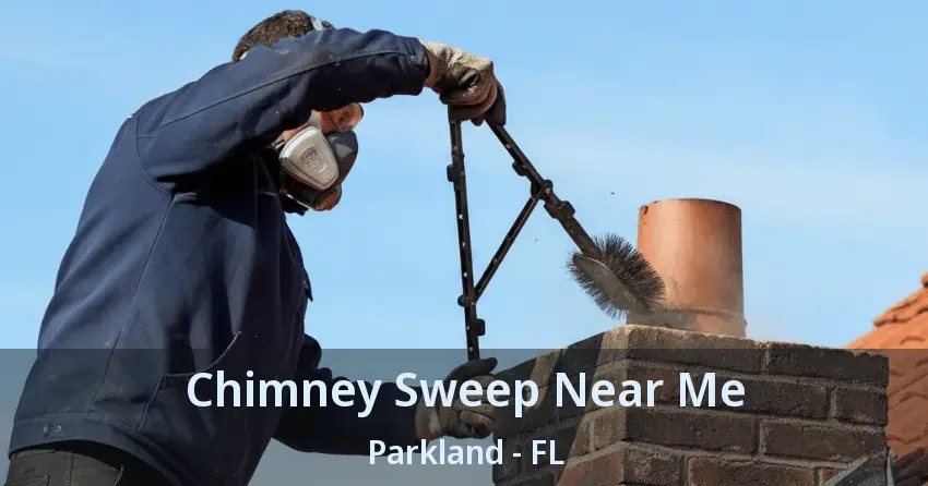 Chimney Sweep Near Me Parkland - FL