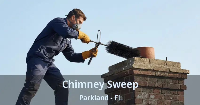 Chimney Sweep Parkland - FL