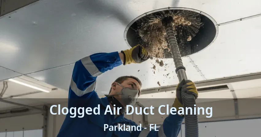 Clogged Air Duct Cleaning Parkland - FL Clogged Air Duct Cleaning Parkland - FL