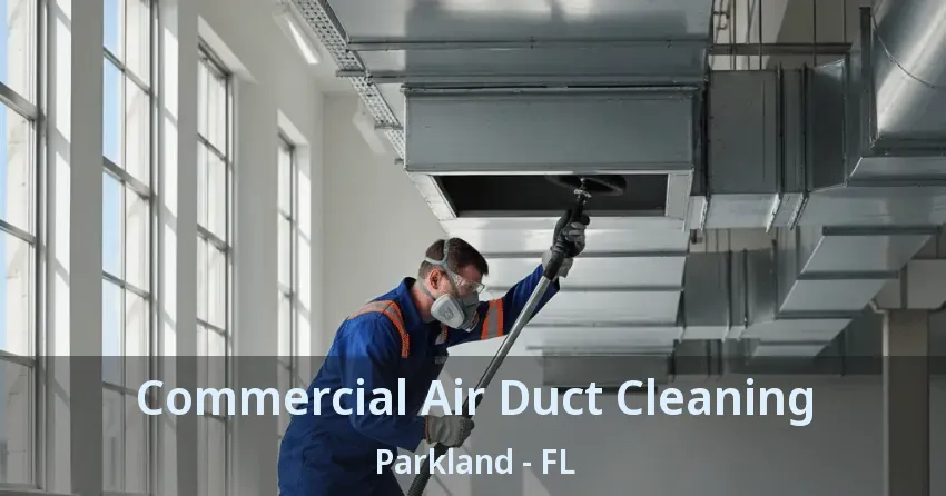 Commercial Air Duct Cleaning Parkland - FL