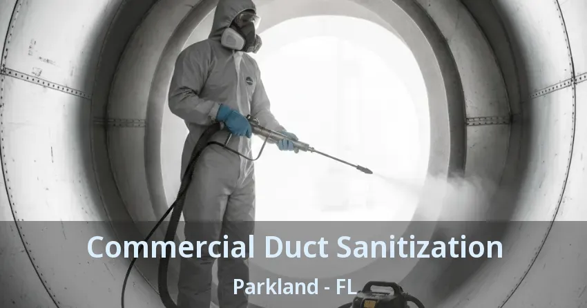 Commercial Duct Sanitization Parkland - FL