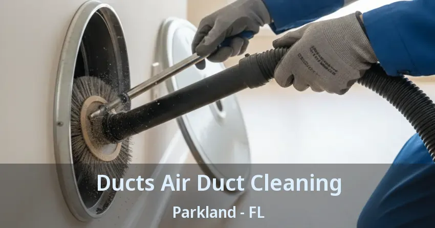 Ducts Air Duct Cleaning Parkland - FL Ducts Air Duct Cleaning Parkland - FL