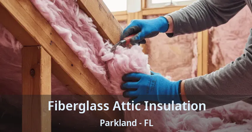 Fiberglass Attic Insulation Parkland - FL