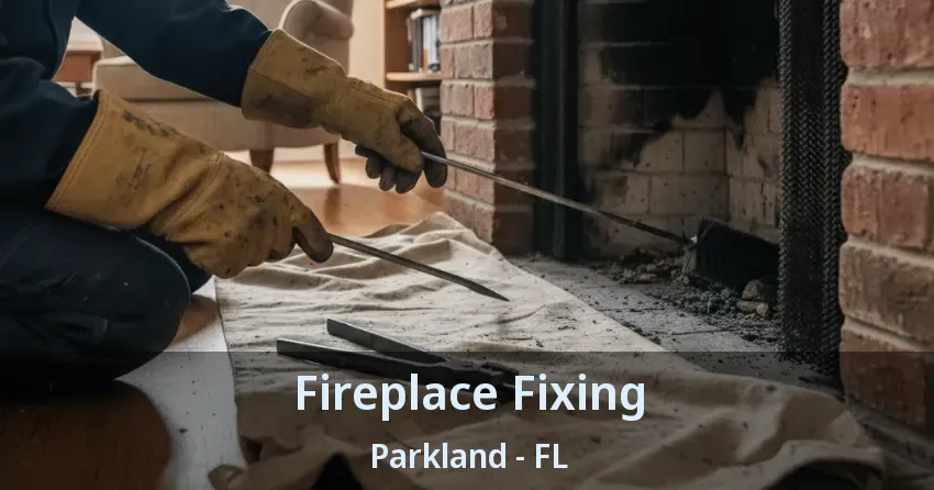 Fireplace Fixing Parkland - FL