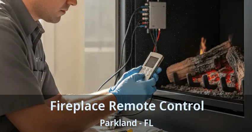 Fireplace Remote Control Parkland - FL