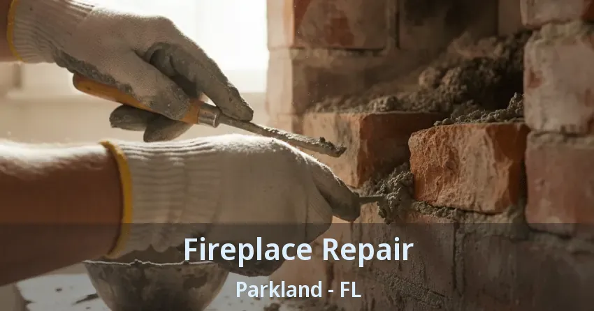 Fireplace Repair Parkland - FL