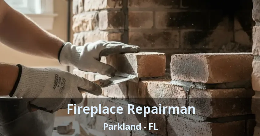 Fireplace Repairman Parkland - FL