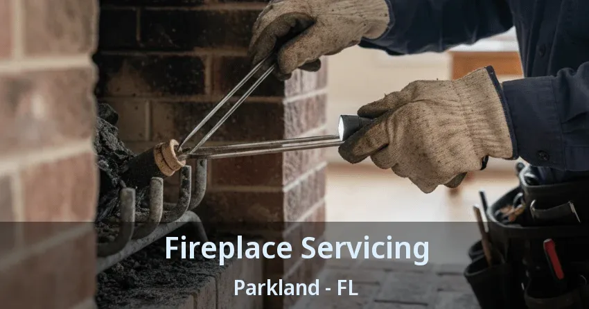 Fireplace Servicing Parkland - FL