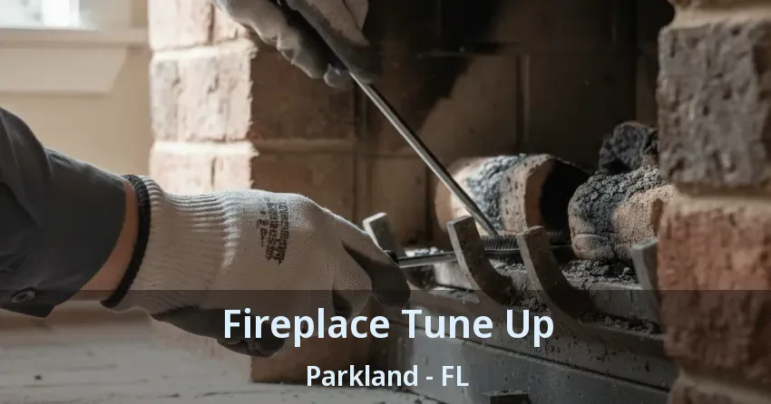 Fireplace Tune Up Parkland - FL