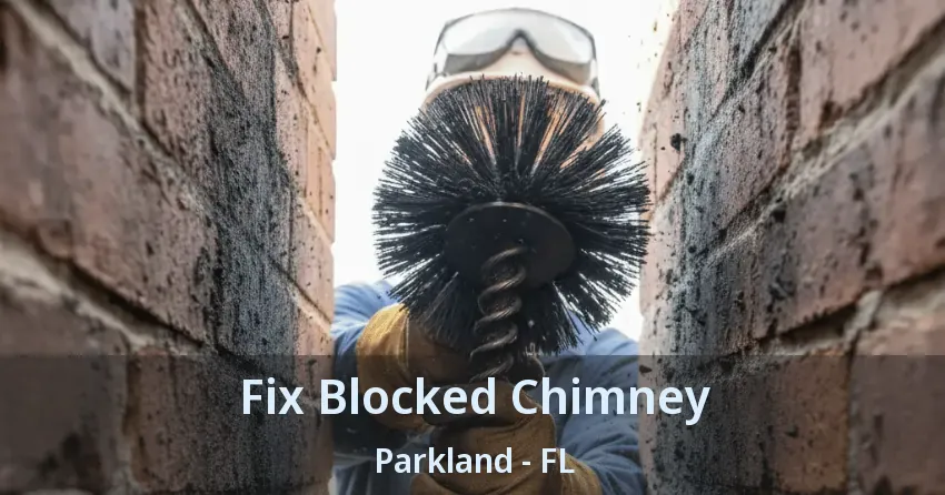 Fix Blocked Chimney Parkland - FL