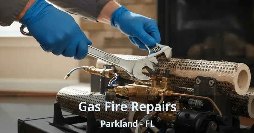 Gas Fire Repairs Parkland - FL