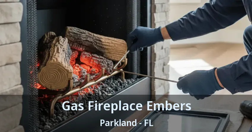 Gas Fireplace Embers Parkland - FL