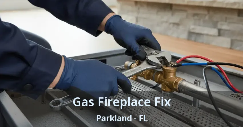Gas Fireplace Fix Parkland - FL