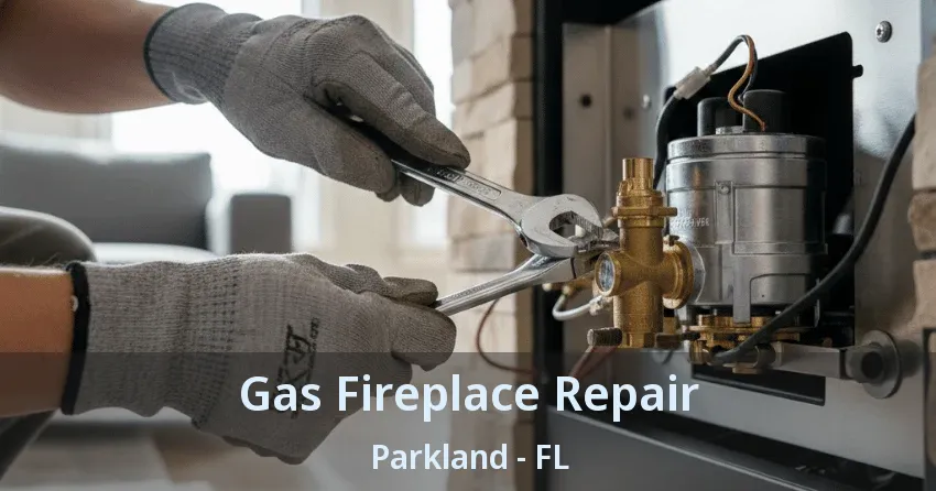 Gas Fireplace Repair Parkland - FL