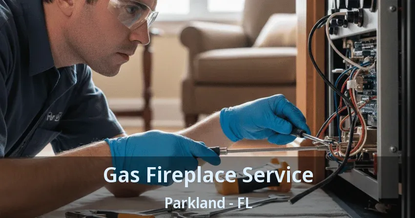 Gas Fireplace Service Parkland - FL Gas Fireplace Service Parkland - FL