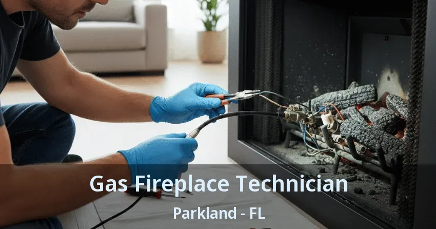 Gas Fireplace Technician Parkland - FL