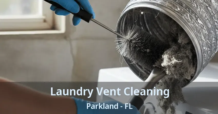 Laundry Vent Cleaning Parkland - FL