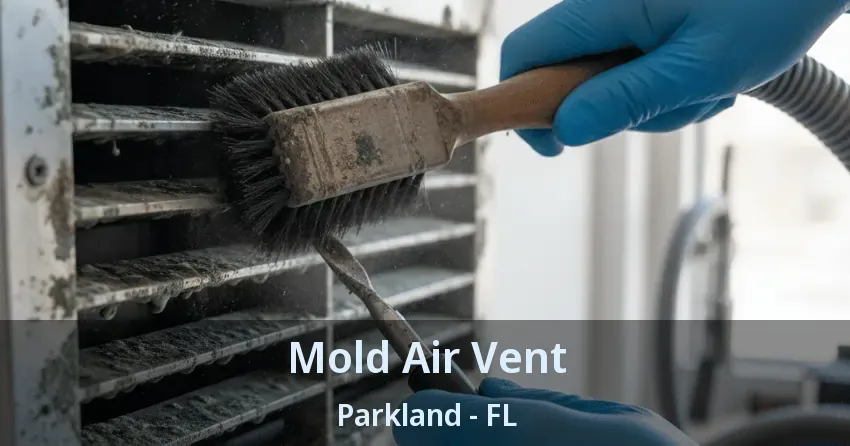 Mold Air Vent Parkland - FL