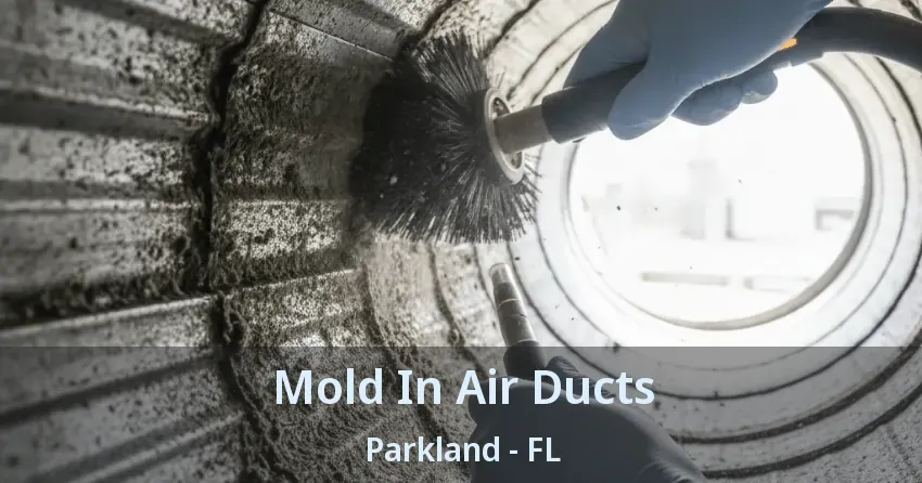 Mold In Air Ducts Parkland - FL