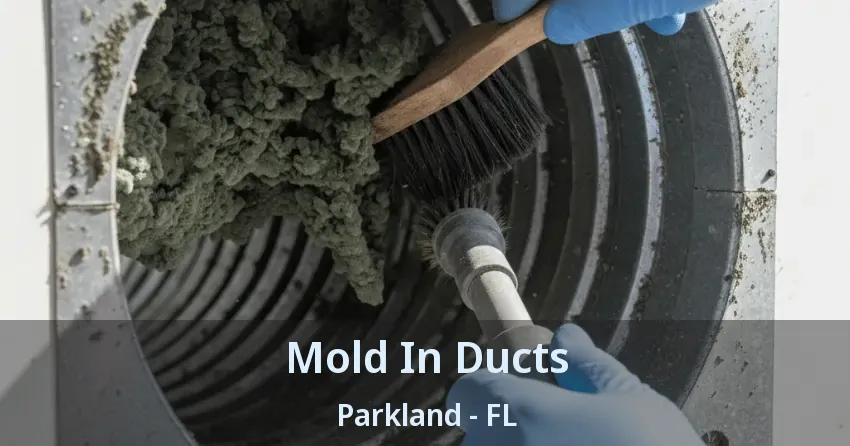 Mold In Ducts Parkland - FL