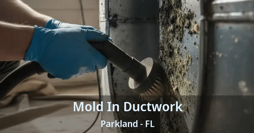 Mold In Ductwork Parkland - FL