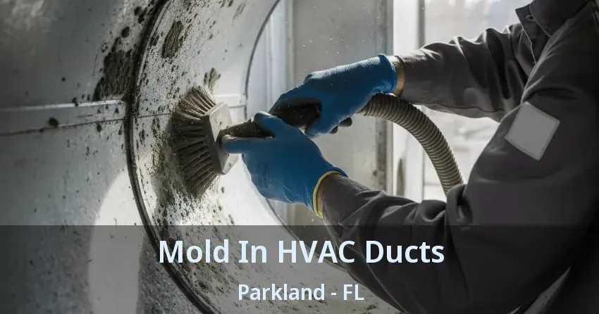 Mold In HVAC Ducts Parkland - FL