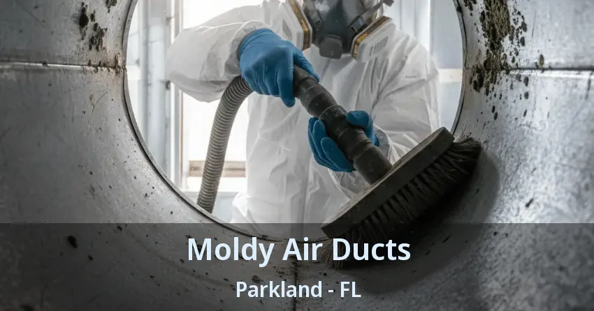 Moldy Air Ducts Parkland - FL
