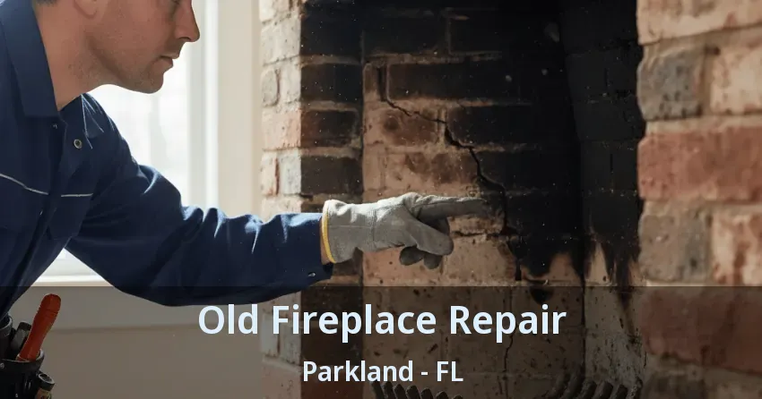 Old Fireplace Repair Parkland - FL