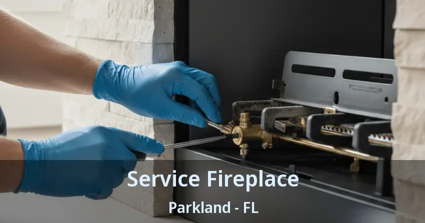 Service Fireplace Parkland - FL